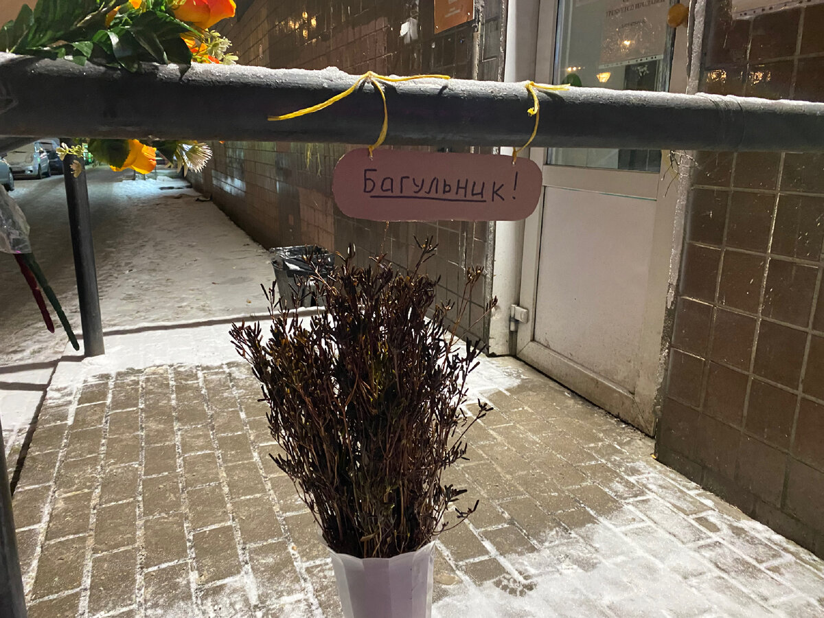 Вот так продается багульник