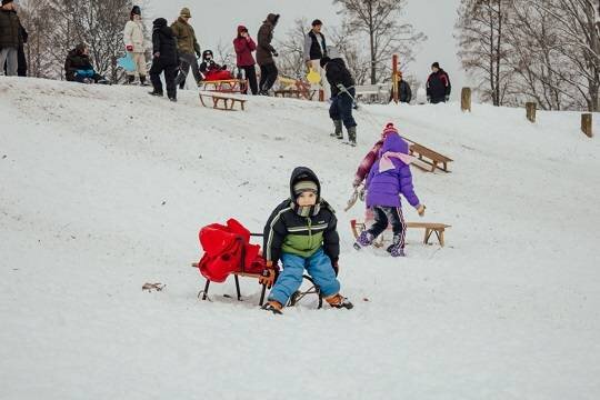    Правительство выделит свыше 360 млн рублей на поддержку многодетных семей