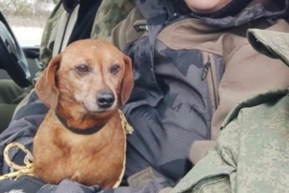 Сосисыч проехал около двух тысяч километров, чтобы оказаться в новом доме Фото: Алена Р.