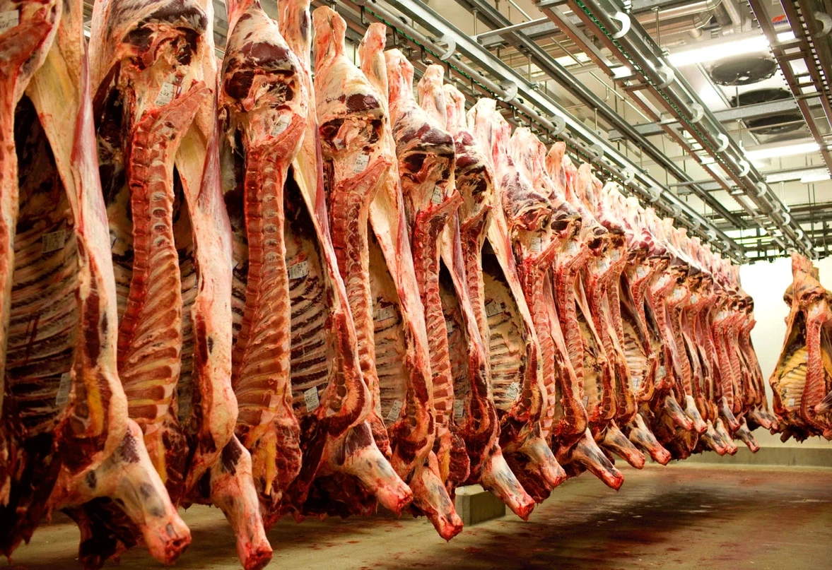 Animals meat