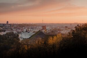    Фото: unsplash.com Ирина Моргунова