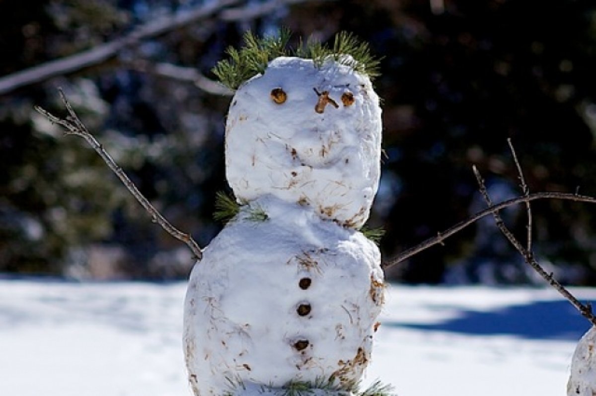    Главный синоптик России сообщил о скором потеплении в Омской области