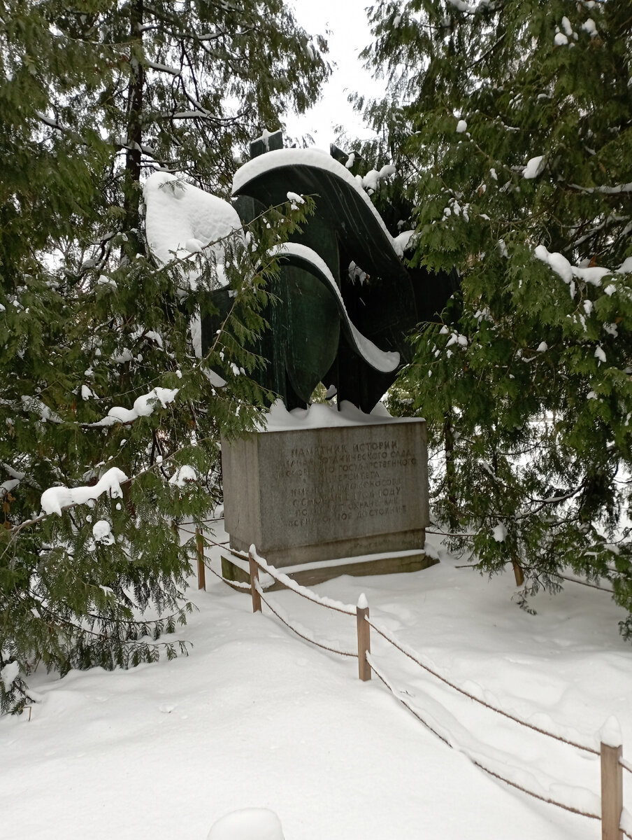 Надпись на постаменте: "Памятник истории Филиал Ботанического сада Московского государственного университета имени М.В.Ломоносова основан в 1706 году подлежит охране как всенародное достояние". Что из себя представляет сей памятник истории, нам рассмотреть не удалось. Снег и ветви надёжно укрывали его от любопытных глаз, а дорожка, ведущая к памятнику, не расчищена. Фото моё.