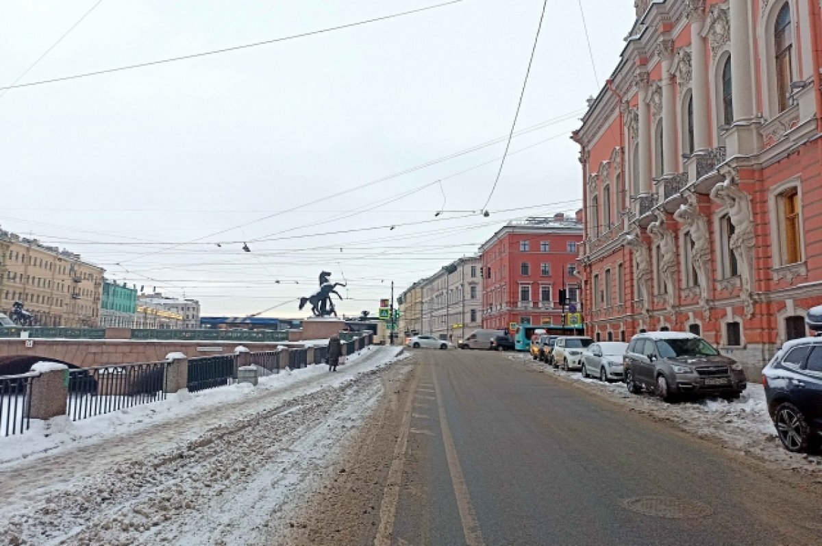    Петербуржец прыгнул в ледяную воду, чтобы спасти упавшего с Аничкова моста