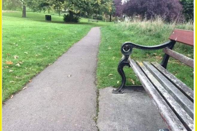     Эта оптическая иллюзия точно поднимет вам настроение: попробуйте найти на фотографии милого пса