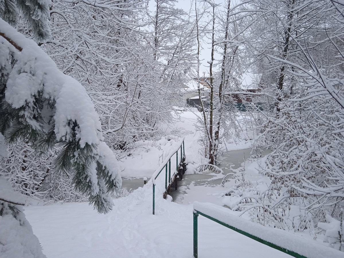 прокатись на коляске, если сможешь