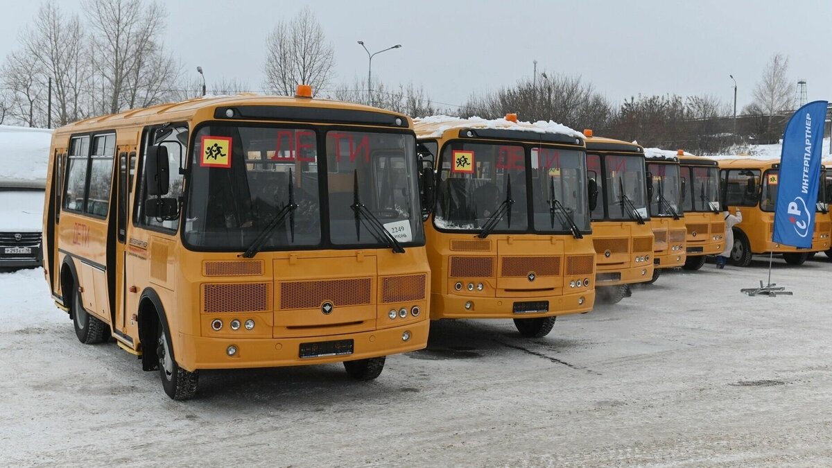 Жители Удмуртии жалуются на отсутствие рейсов школьных автобусов |  udm-info.ru | Дзен