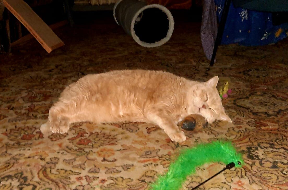 Отдыхаю, устал. 