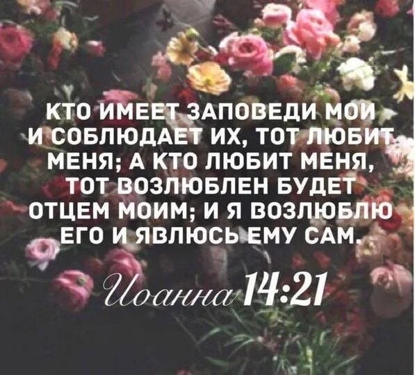 Источник: Яндекс. Картинки