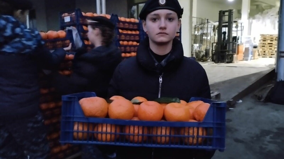     Имбирные пряники для военных испекли кисловодские школьники, сообщили в администрации города-курорта.