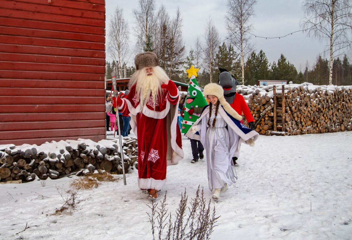 Хаски Петрозаводск Чална