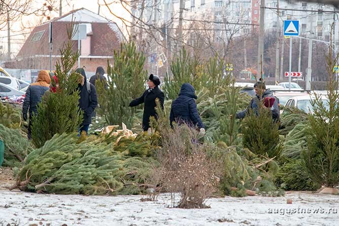 елочные базары в тольятти 2023. саратов. елочные базары в тольятти 2023. елочные базары в тольятти 2023. елочные базары в тольятти 2023.