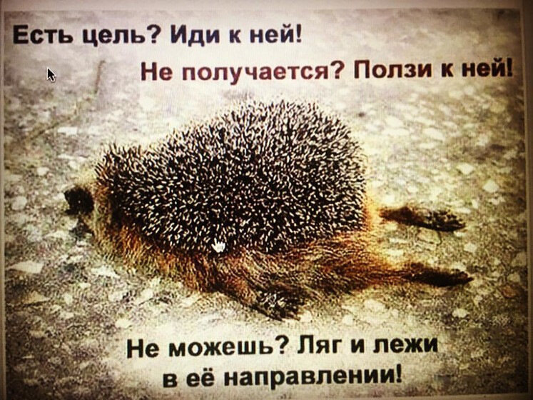 Ёжики очень устали.