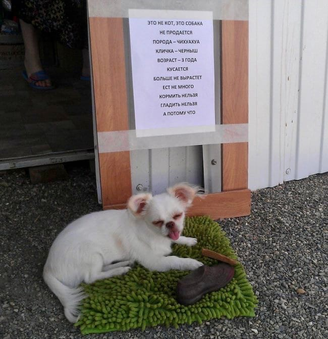 Посмеялся сам - поделись с другом!!!