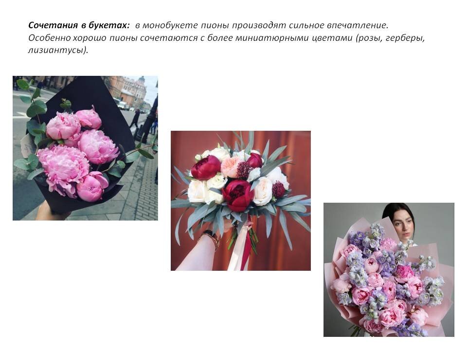 Фото из Презентации автора.