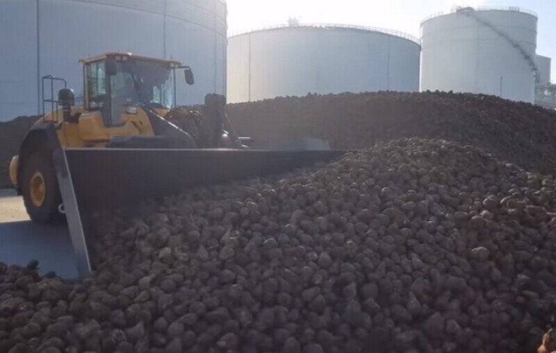    Видео: как из свеклы делают сахар