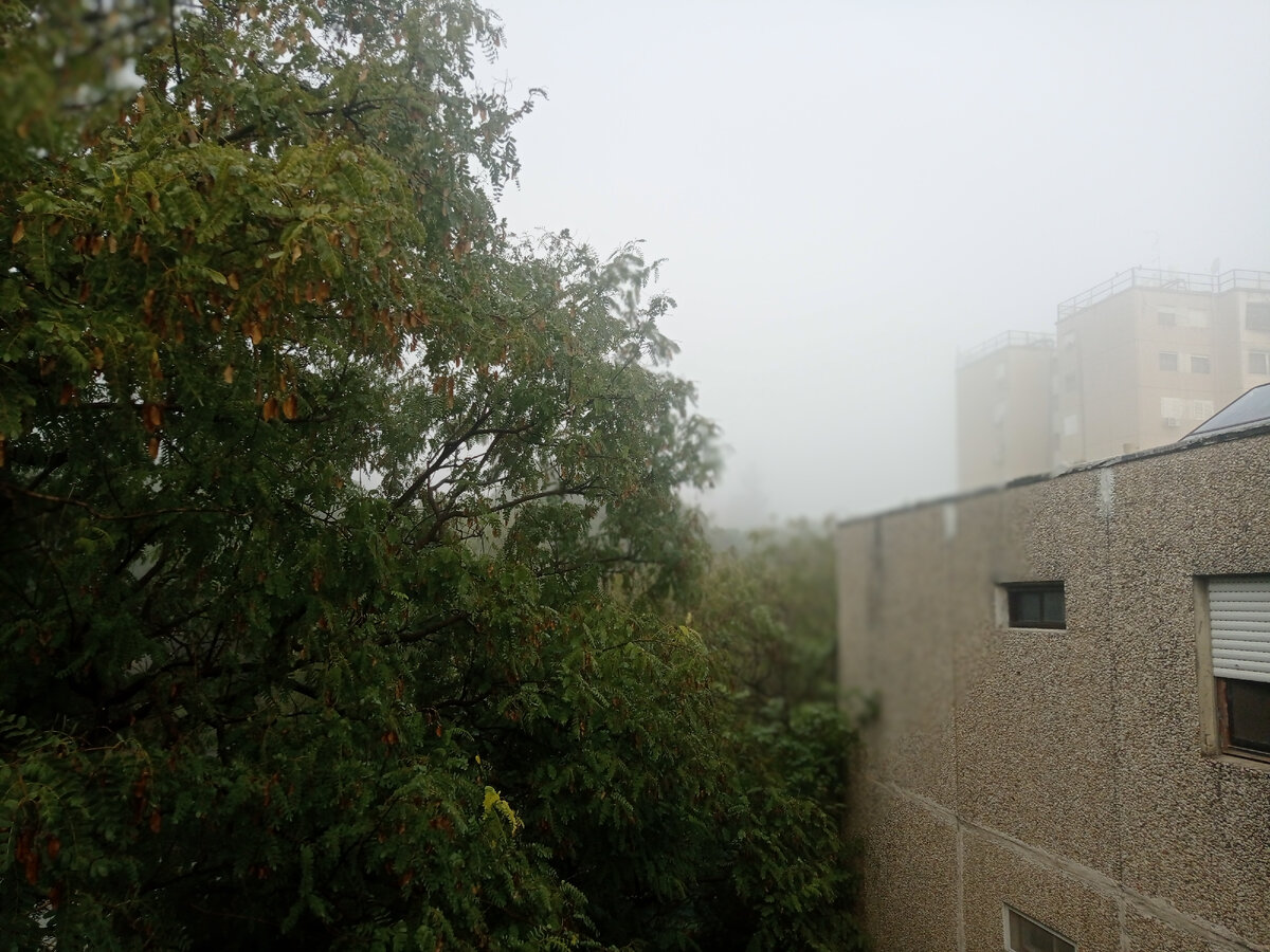 Статья навеяна утренним видом из окна: сегодня уже 2 месяца ровно, как я вижу ежедневно этот пейзаж, но сегодня случился туман, и я не смогла вспомнить, что там обычно за деревьями. Фото искажает перспективу, на самом деле "в тумане" гораздо ближе ко мне. Поэтому вообще удивительно, что я могла подумать "там вроде здание какое-т или всё-таки гора?"