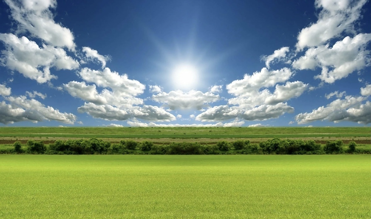 Фото Яндекс Картинки