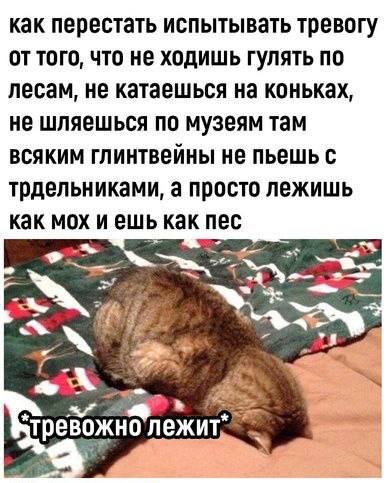 Подруга прислала мем про меня.:)