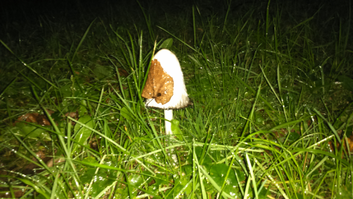 Один... Совсем один. Фот А. Троилиной