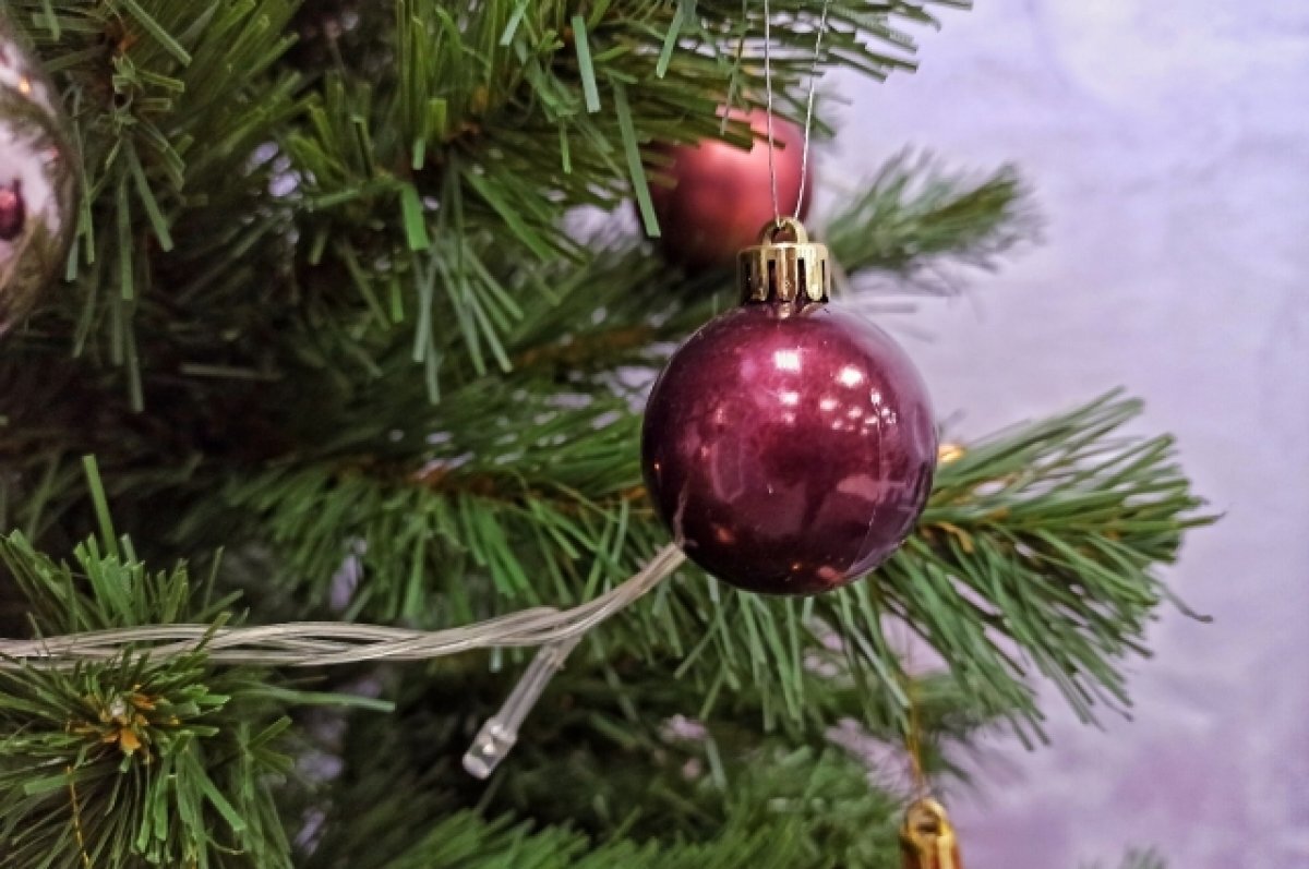    С 9 января в Томске стартует экологическая акция «Елки для буренки»