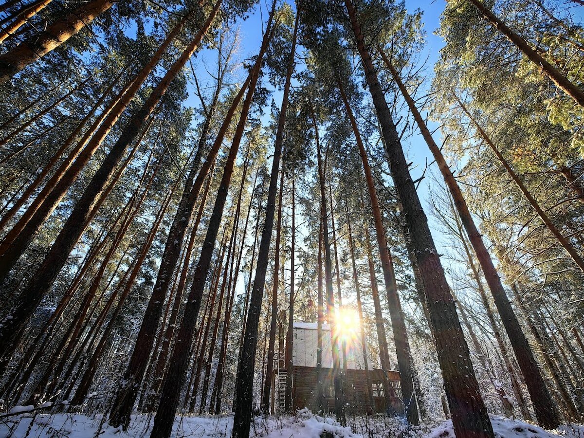 Листайте галерею. Там еще много домиков, словно со старой открытки