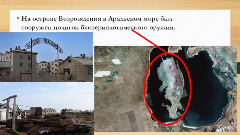Фото аральское море остров возрождения