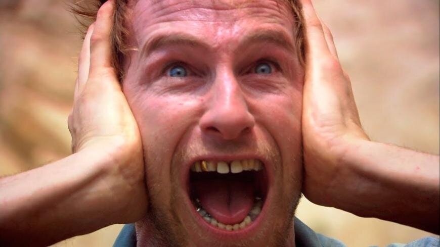 Из открытых источников Яндекс