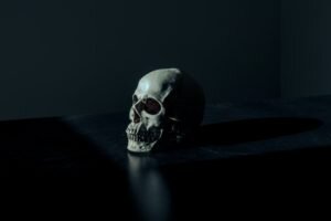    Фото: Mathew MacQuarrie / unsplash.com Ксения Смирнова