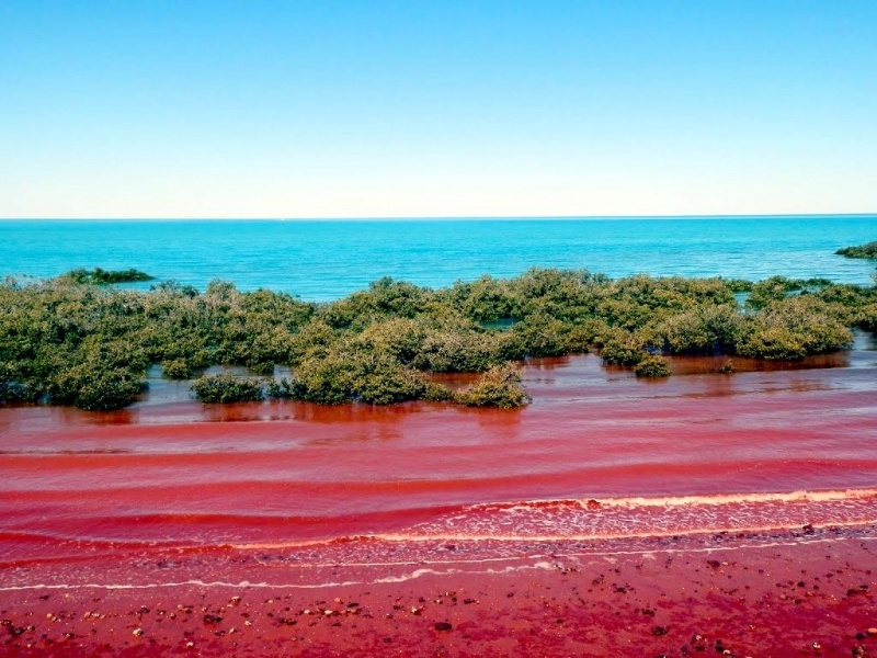 Как выглядит красное море