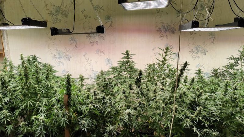    Фото МО МВД «Нижнетагильский»