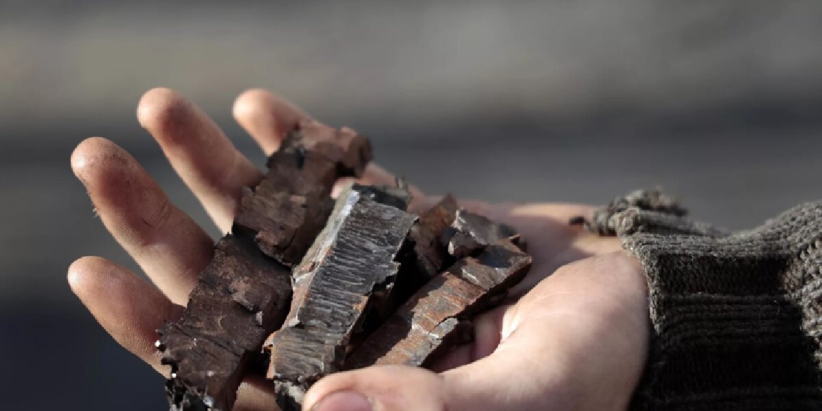 Фото: RT (https://mf.b37mrtl.ru/russian/images/2023.01/article/63b95185ae5ac907f6147c6b.png)