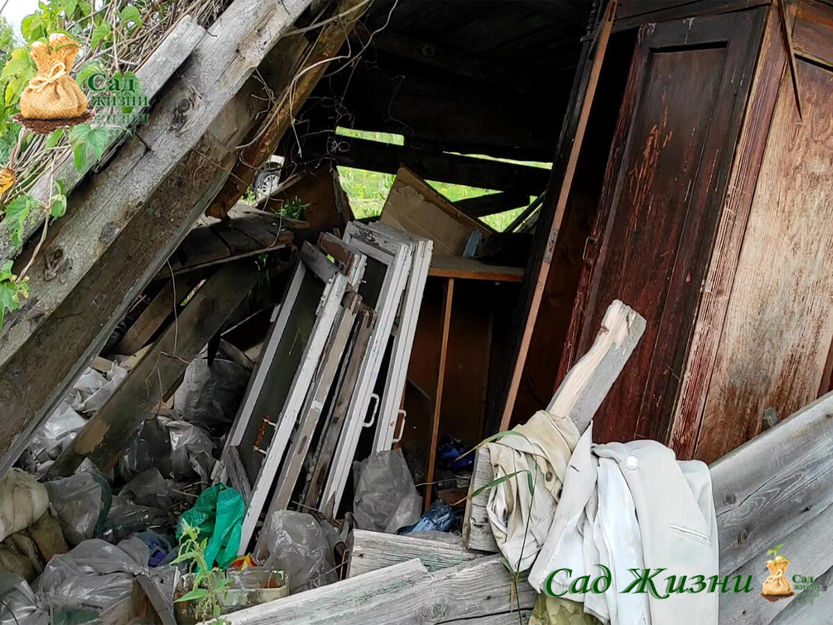 Они остались в брошенных садах, чтобы выжить! | Сад Жизни | Дзен