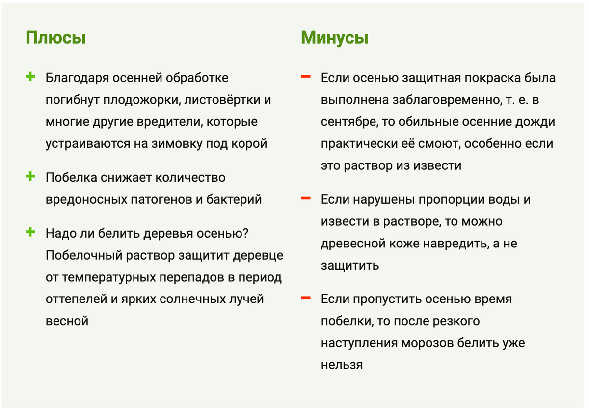 Когда лучше всего белить деревья в саду осенью? | Дачник.RU | Дзен