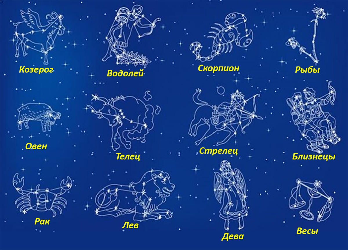 Знаки зодиака на русском. Созвездия знаков зодиака. Зодиакальные созвездия и их названия. Созвездие зназнаков зодиака. Изображения созвездий знаков зодиака.