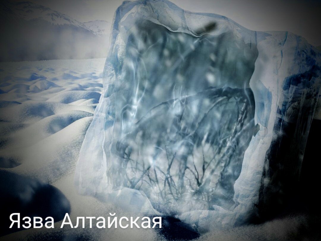 Картинка моя