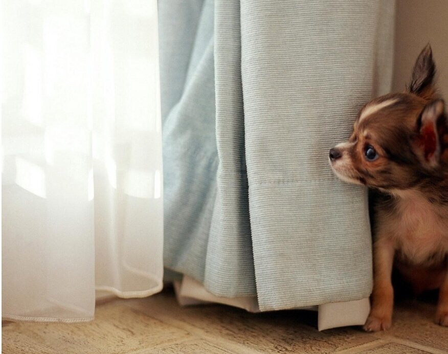 Фото с просторов 