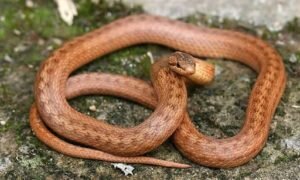    Фото: Trip-Journal Юлия Карягина