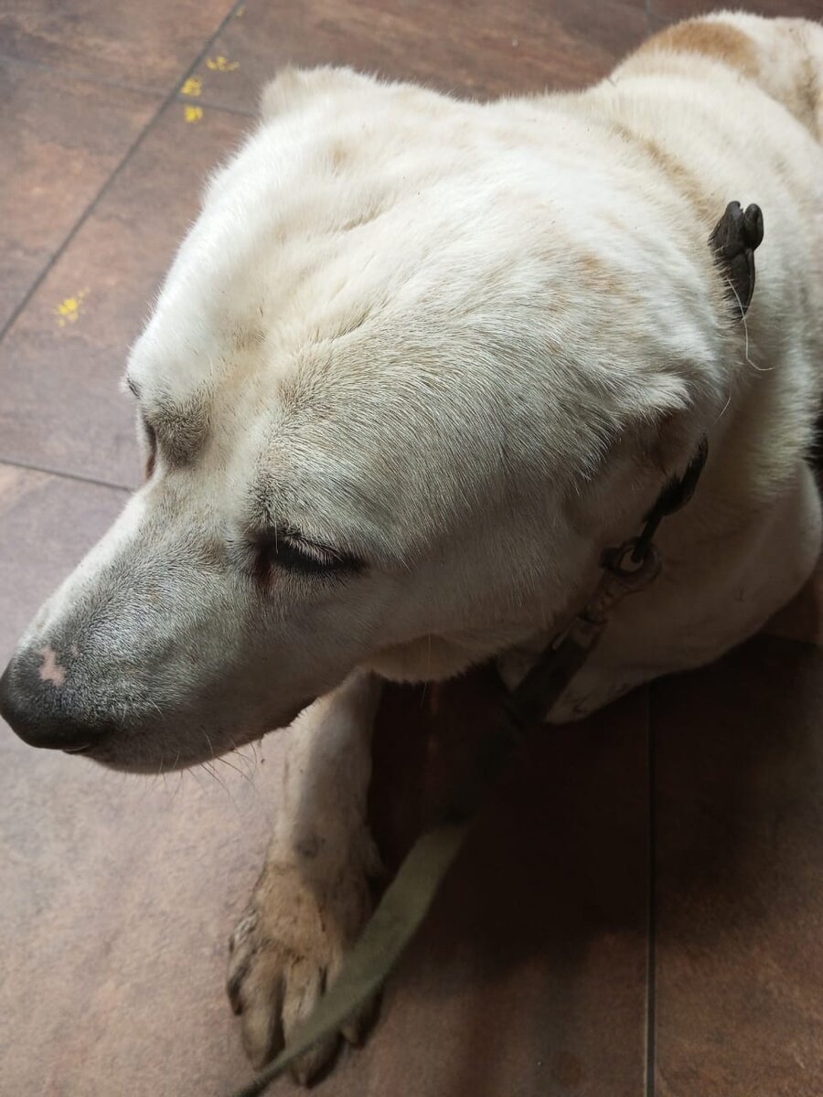 Наш Малышочек в клинике