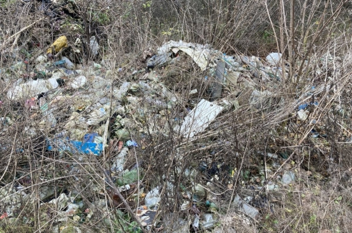    Под Воронежем на сельхозземлях Рамонского района нашли 2 свалки