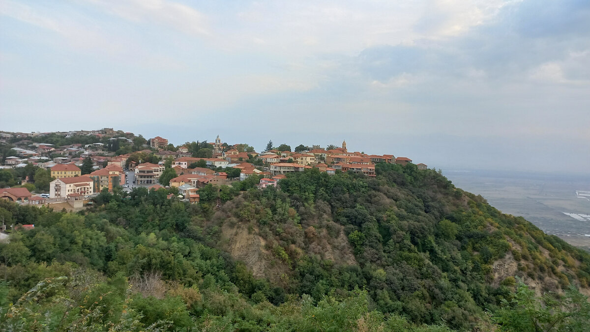 Сигнахи, город любви. В Сигнахи, по местному преданию, влюбленный художник Нико Пиросмани покрыл площадь перед гостиницей цветами, где жила любимая женщина — французская актриса Маргарита де Севр. Сюжет прославился благодаря песне "Миллион роз".