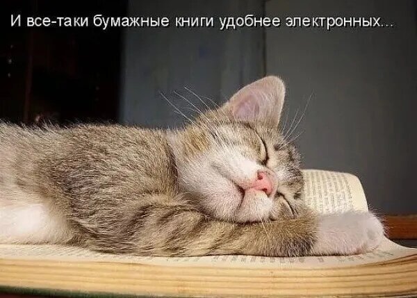 иллюстрация из яндекс картинке