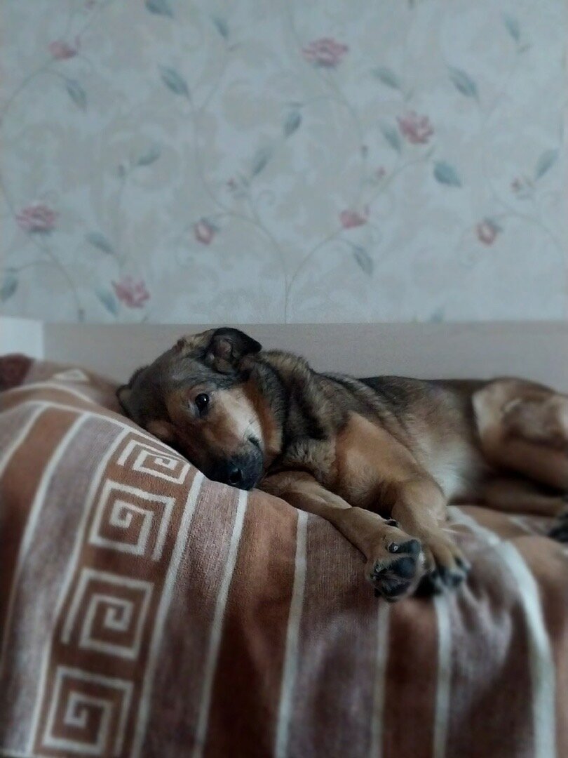 Фото- собственность канала