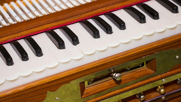 ФОТО: GALINA BARBIERI//GLOBALLOOKPRESS