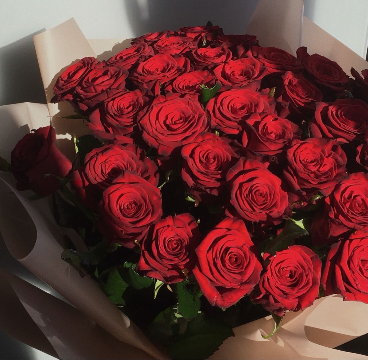 Фото из интернета