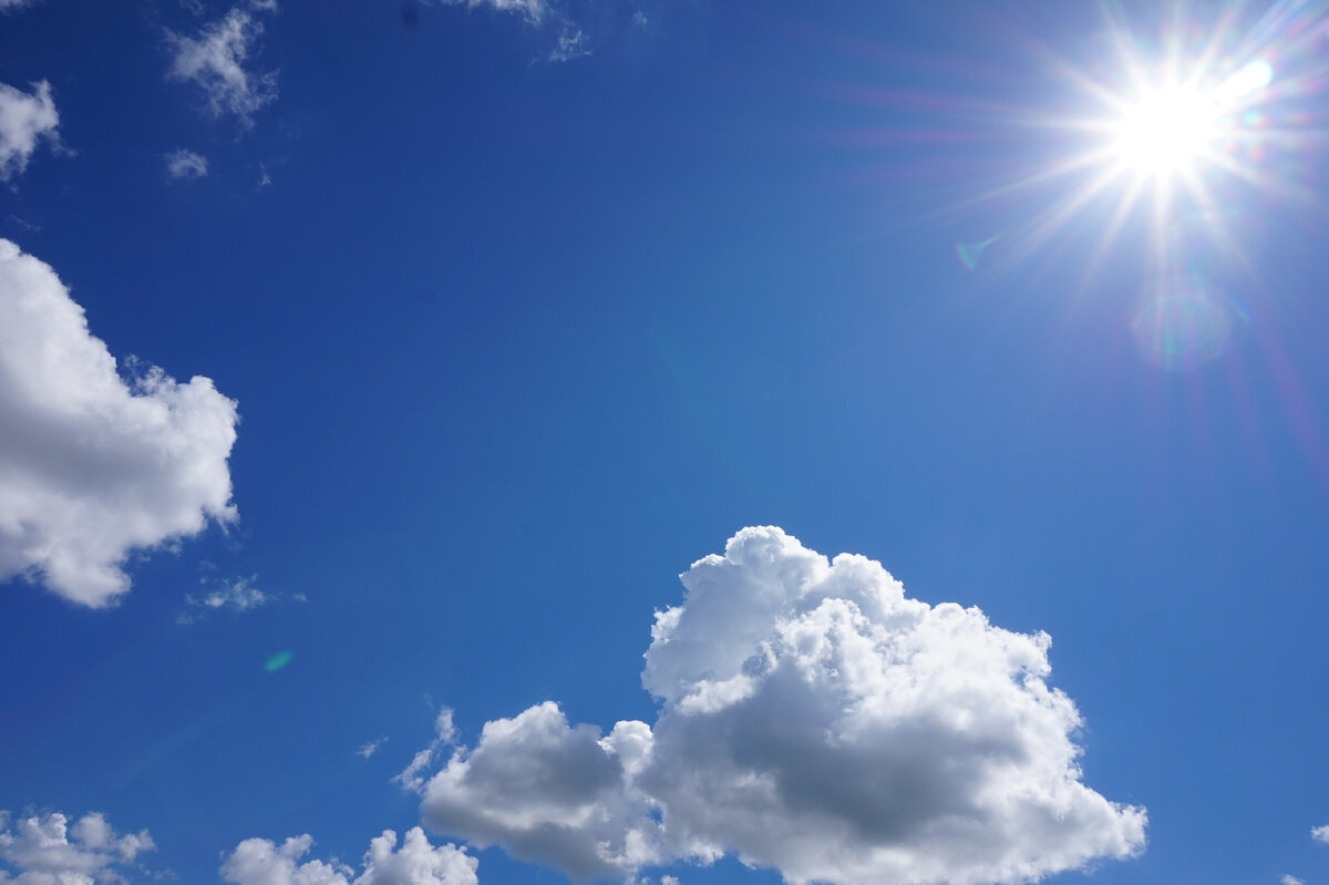 Яндекс картинки