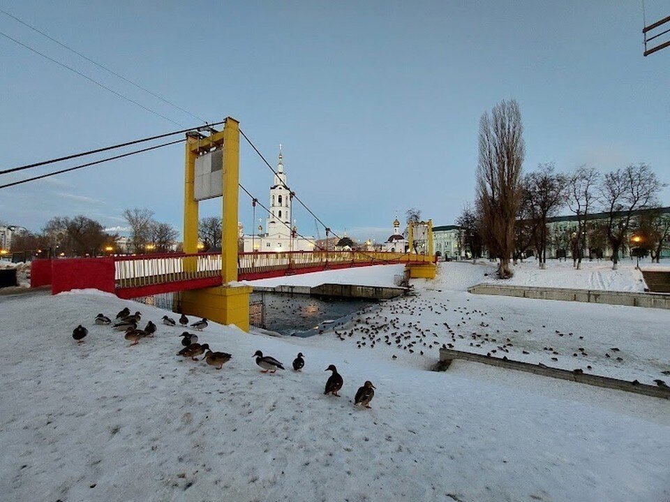     Фото: Ольга Супонева