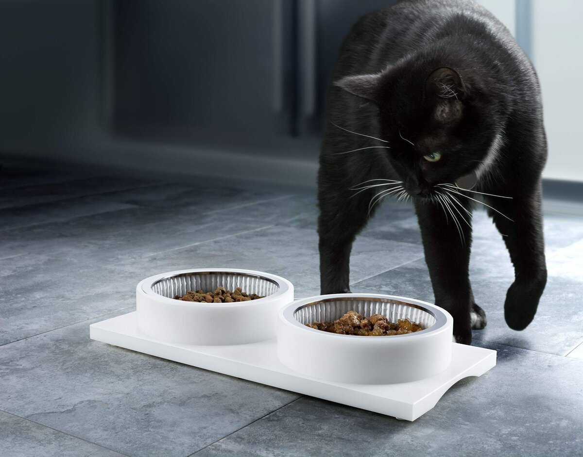 источник фото: https://webpulse.imgsmail.ru/imgpreview?key=pulse_cabinet-image-0ade050c-da47-400d-bb26-a9b938faed22&mb=webpulse