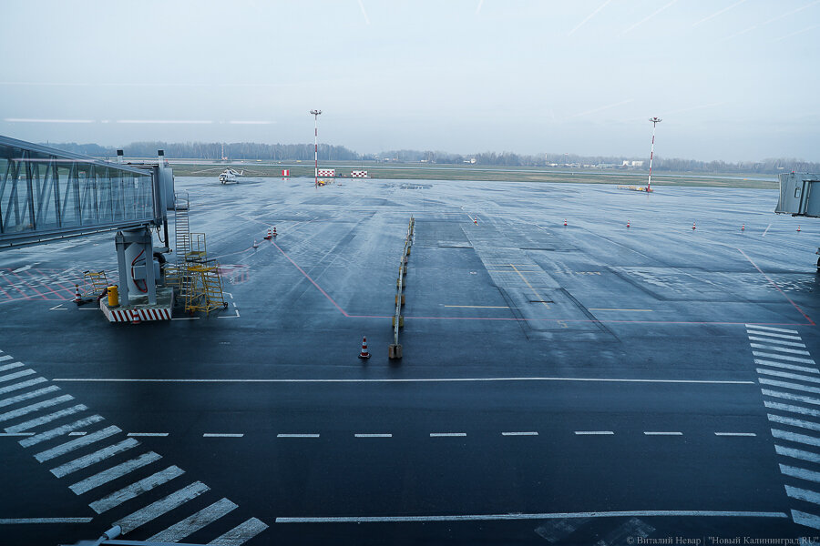 Фото: Виталий Невар / Новый Калининград