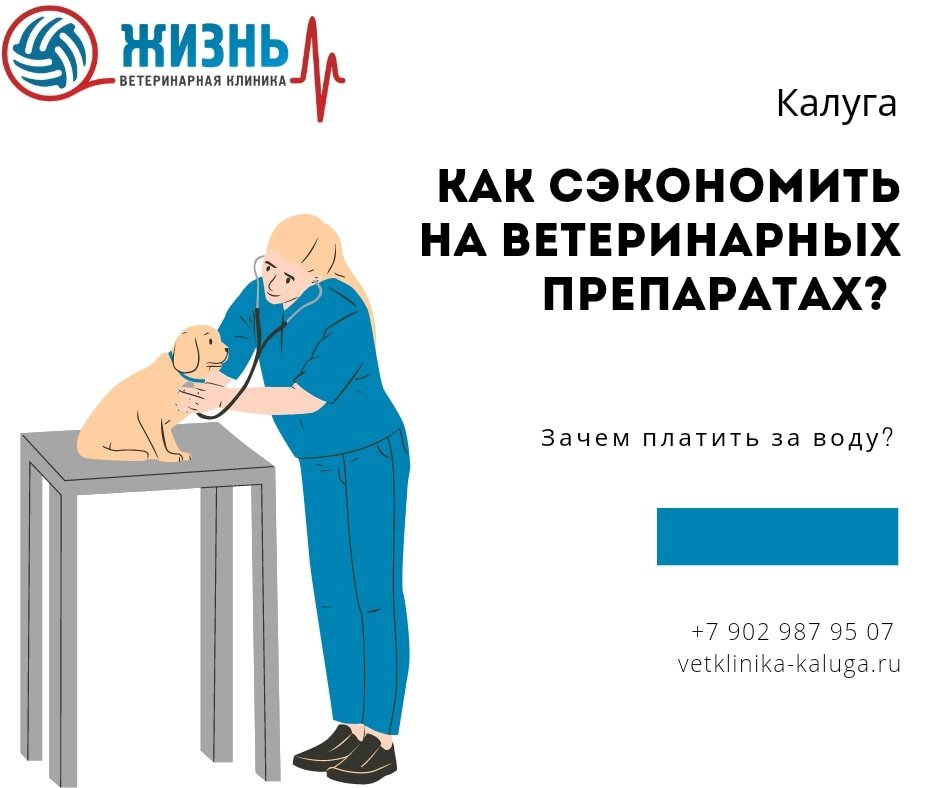 Ветеринарная гомеопатия. 
